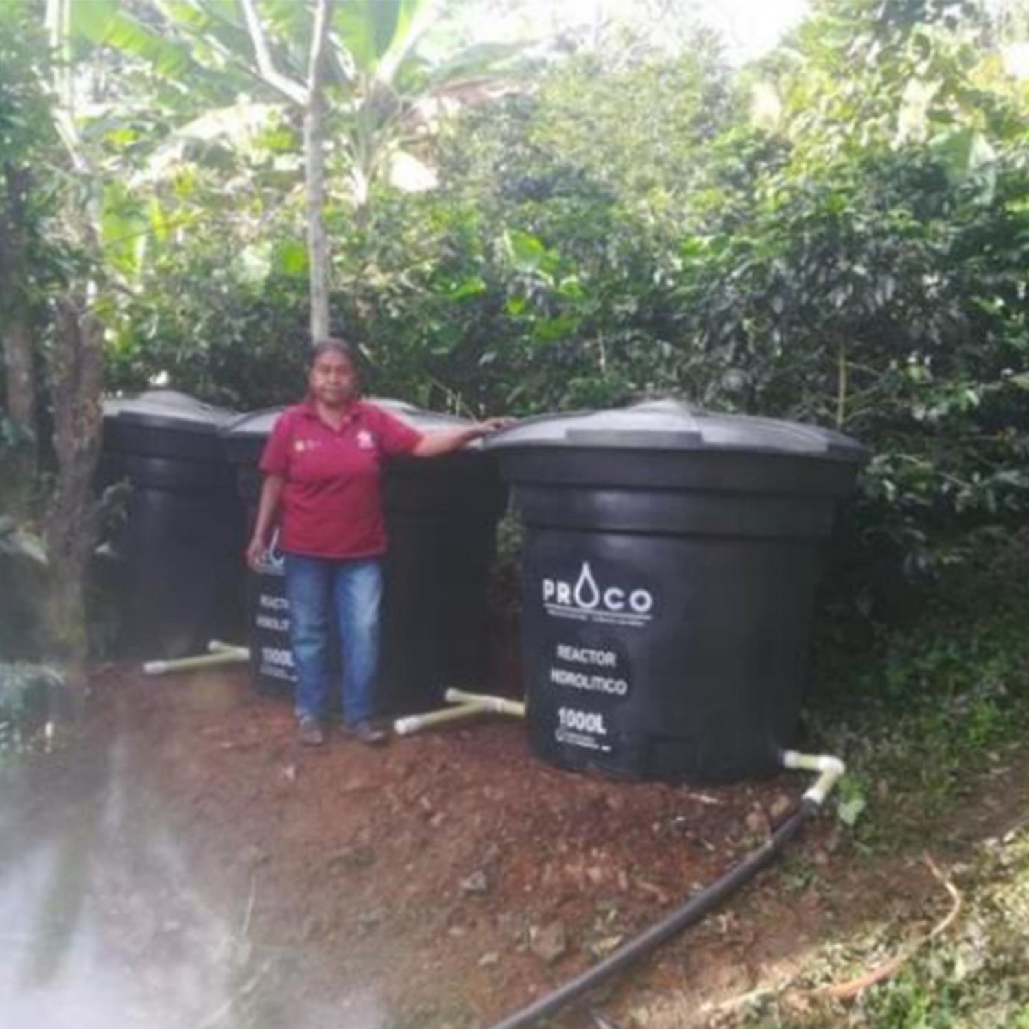 The Colombia Project: News from The Chain Collaborative