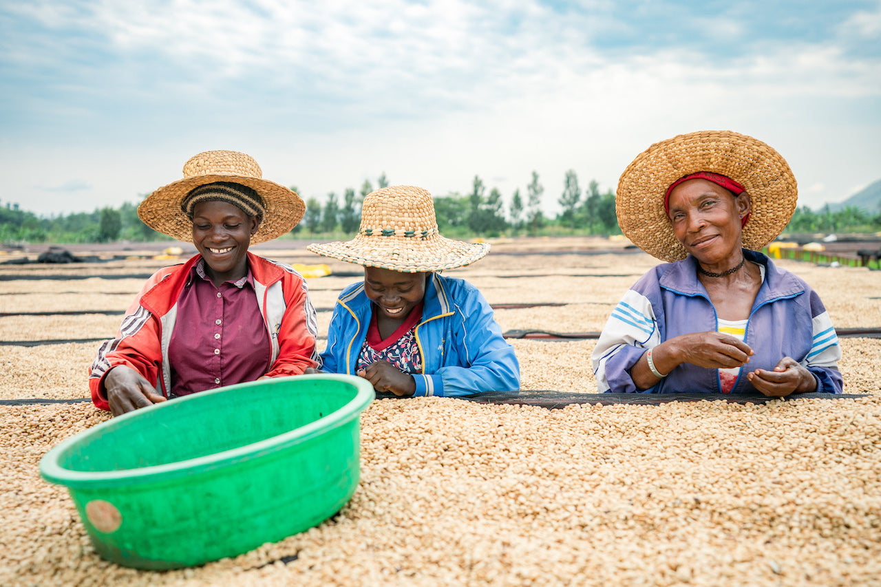 Sucafina Uganda